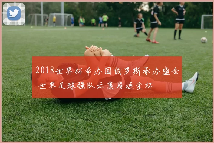 2018世界杯举办国俄罗斯承办盛会 世界足球强队云集角逐金杯
