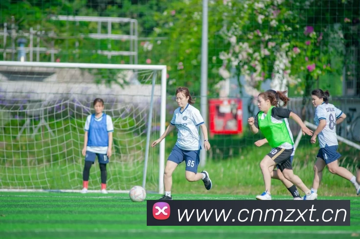 乐鱼网页版登录入口 - 乐鱼online(中国)全站App